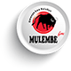 Mulembe FM